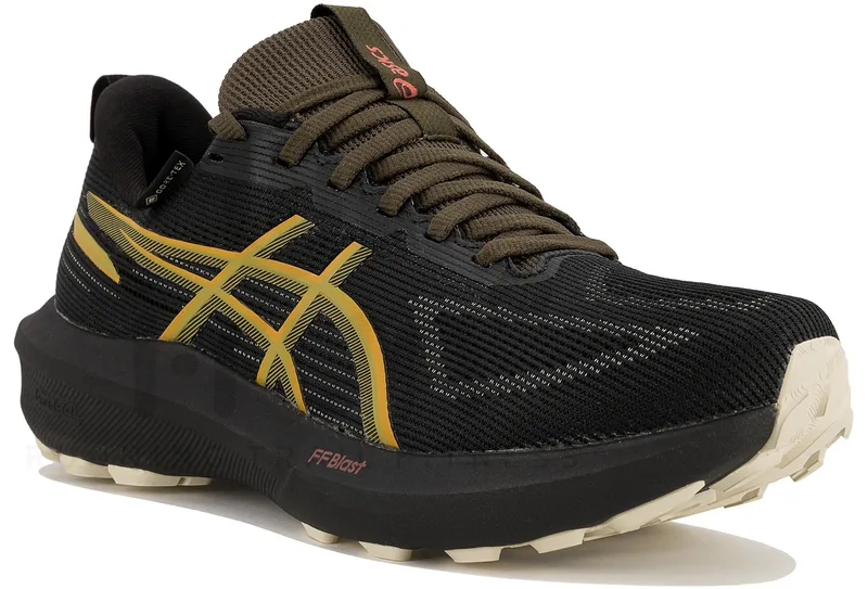 Asics GT-1000 14 Gore-Tex