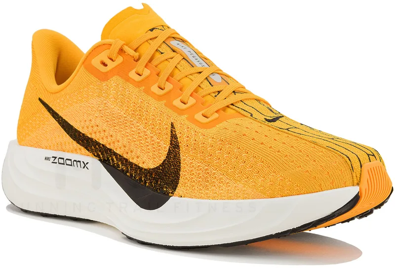 Nike Pegasus Plus LV8