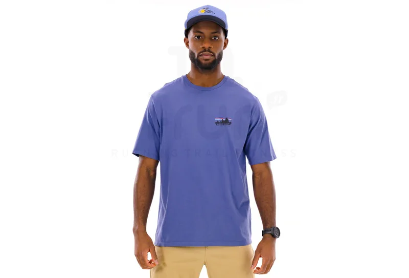 Patagonia 73 Skyline Organic