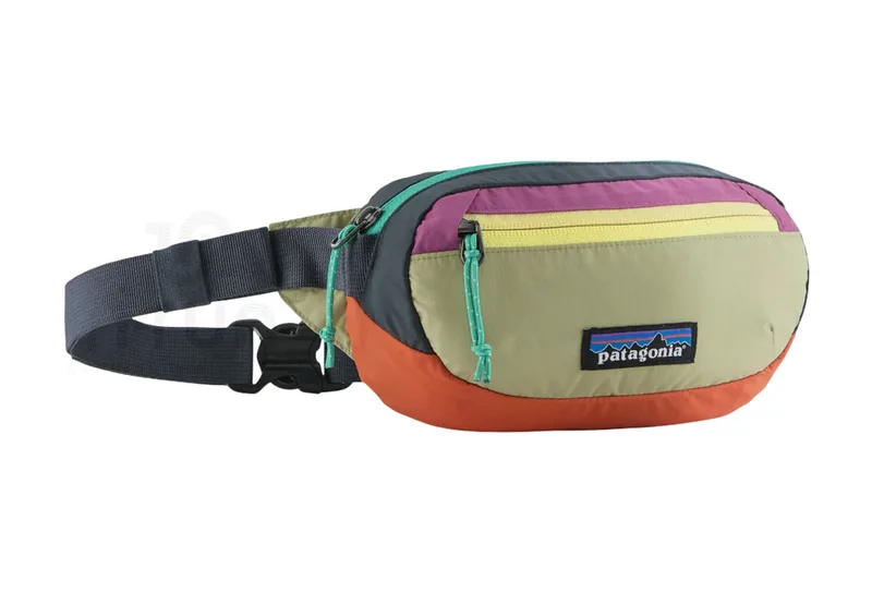 Patagonia Terravia Mini Hip Pack 1L
